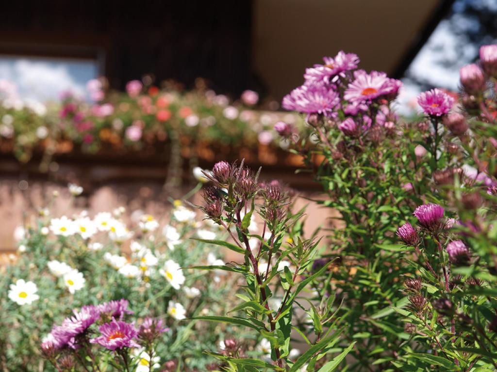 Haus Bernhardt-Fromm Hotel ซังคท์บลาเซียน ภายนอก รูปภาพ